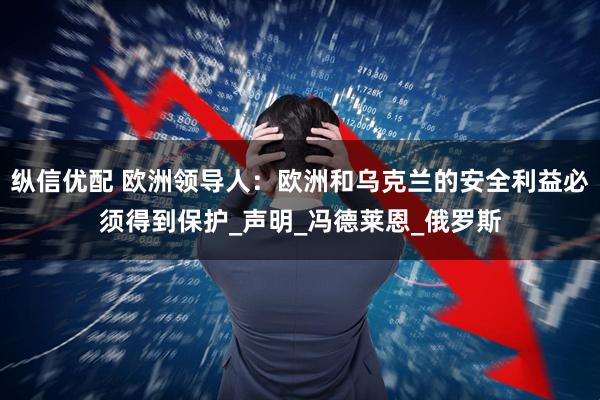 纵信优配 欧洲领导人：欧洲和乌克兰的安全利益必须得到保护_声明_冯德莱恩_俄罗斯