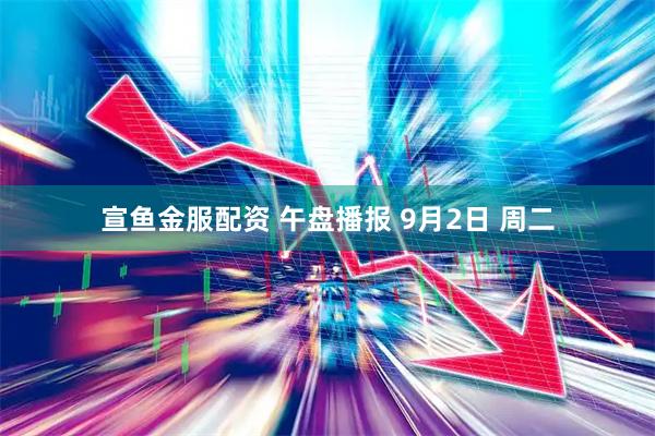 宣鱼金服配资 午盘播报 9月2日 周二